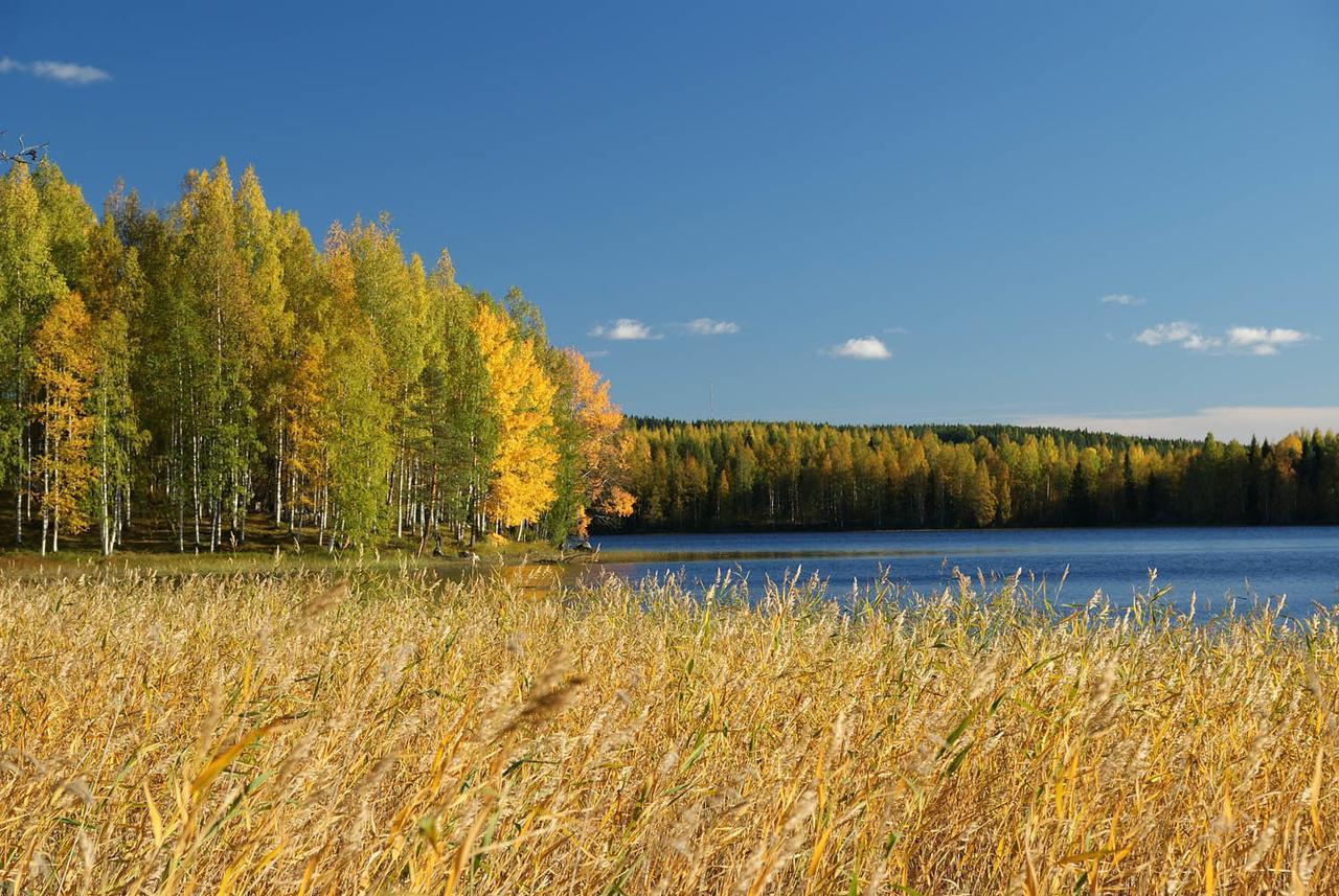 Ik Hotel & Camping Keuru Exteriör bild